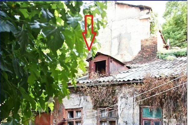 уровни найди кота