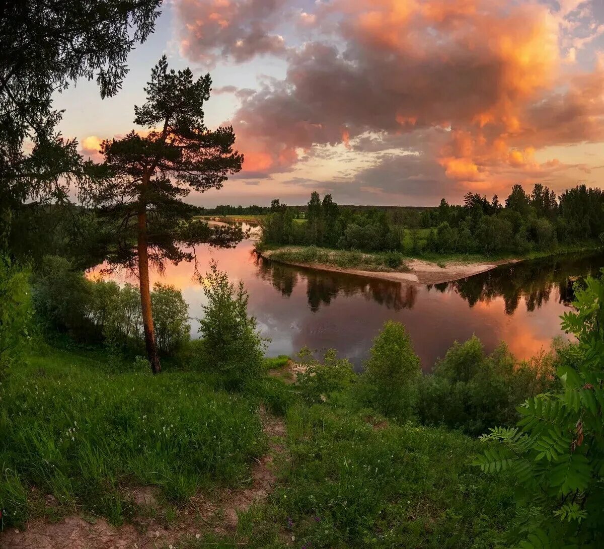 Вельский район Архангельской области. Река Солоница. Природа Вельского района. Река Пежма Архангельская область.