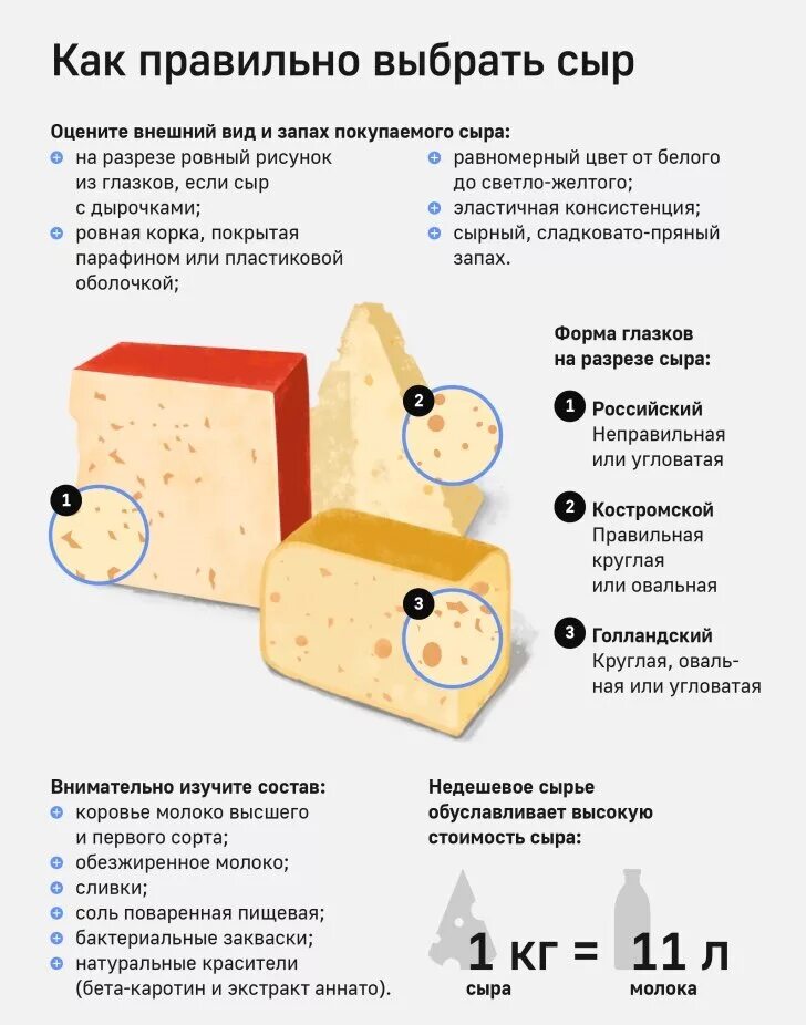 Как правильно выбрать сыр. Полезные свойства сыра. как выбрать сыр. сыр инфографика. характеристика сыра.