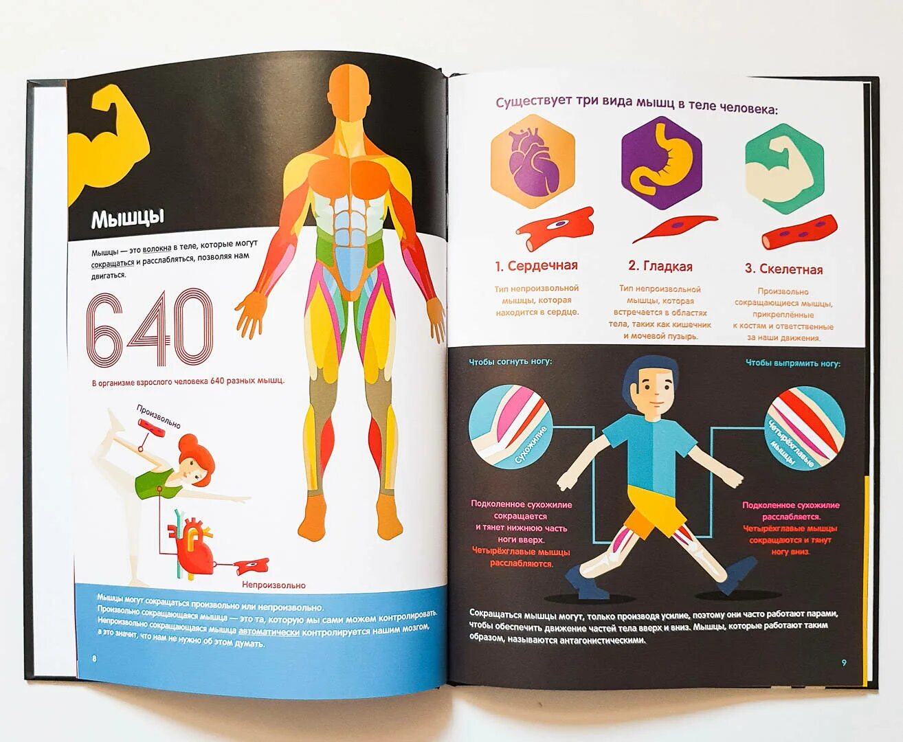 Книга человек для самого себя. Тело человека инфографика Росмэн. Харриет Брандл тело человека инфографика. Книжка тело человека. Энциклопедия тело человека.