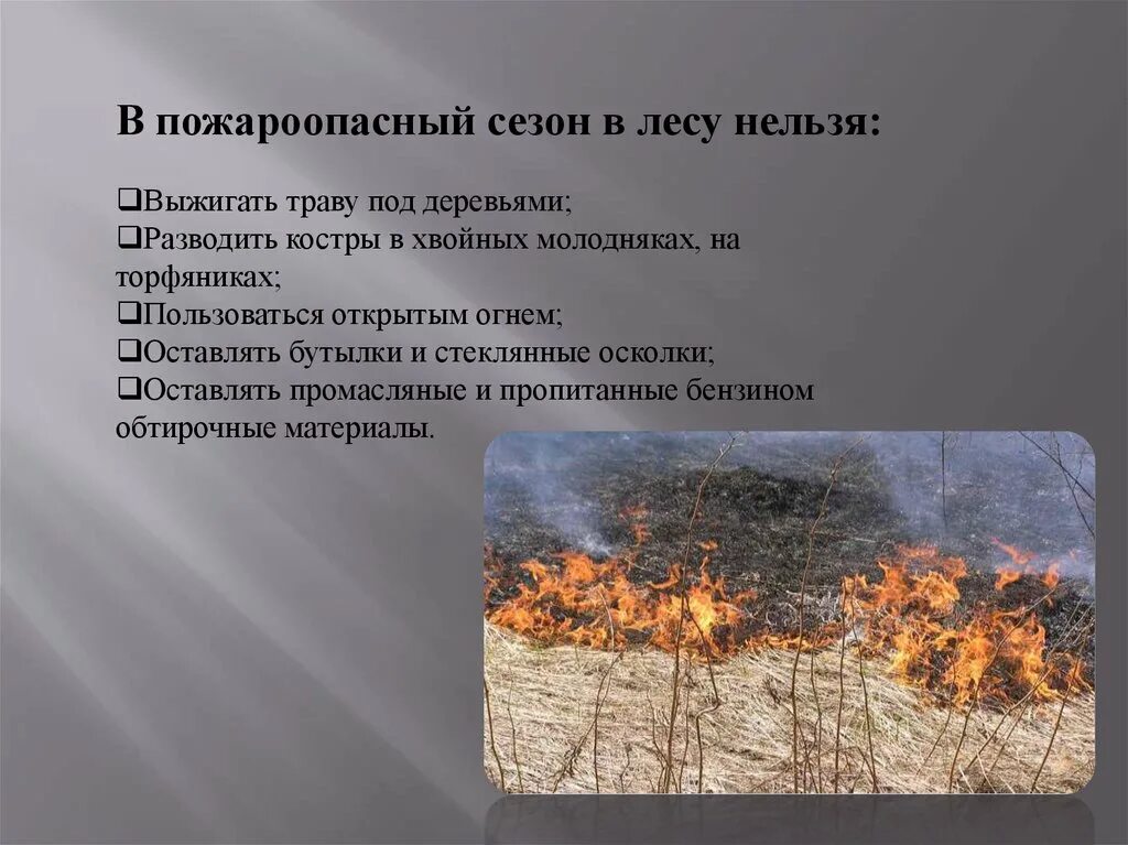 Пожароопасный период в лесу. Пожароопасный период в лесу памятка. Летний пожароопасный период. Разводить костер в лесу запрещено