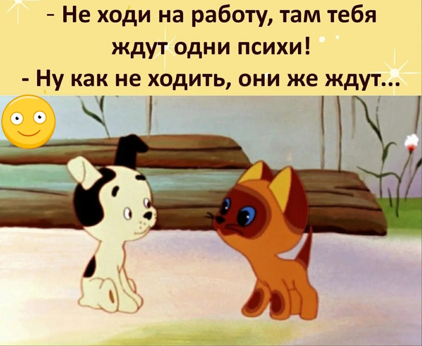 Люблю до дрожи. Котики приколы с надписями. Давай дрожать. Там тебя ждут одни психи. Мне больно стихи.