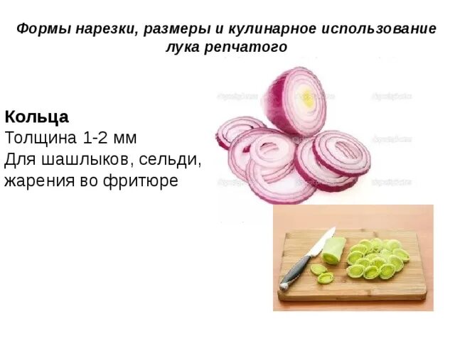 Кулинарная обработка луковых. Кулинарная обработка луковых