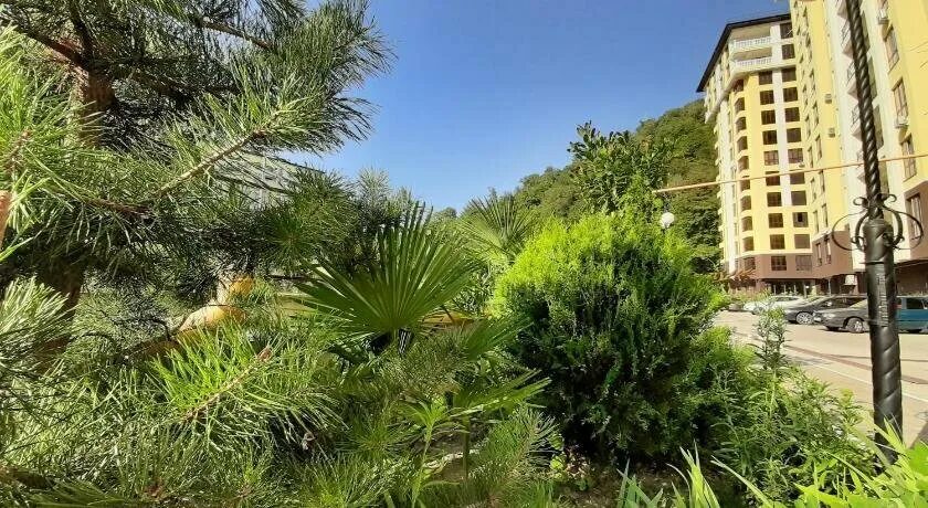 алая роза сочи. апарт отель южный дагомыс. дагомыс российская 3. дагомыс российская 3. общежитие планета в дагомысе.