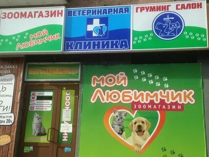 Мой любимчик