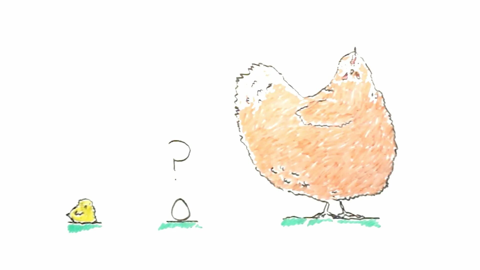 Фон для презентации цыплята. Chicken or egg question. Which came first the chicken or the egg. Chicken and egg problem. Яйцо цыпленок.
