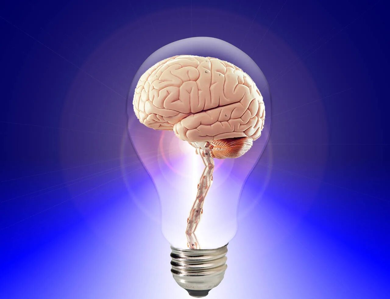 Мозг человека как улучшить работу. Мозг память. Лампочка мозг.