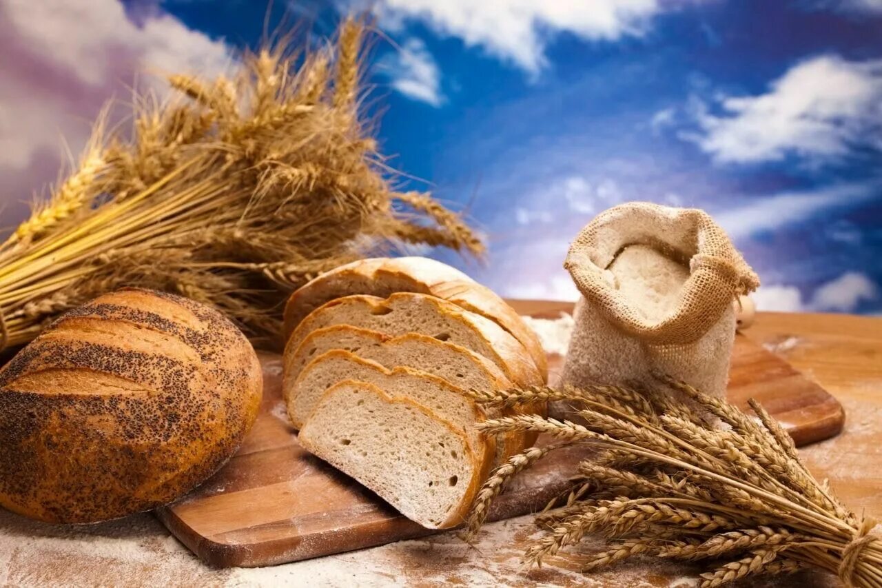 Пекарня поле. Красивый хлеб. Колосья хлеба. Хлеб и хлебобулочные изделия. Хлеб пшеница.