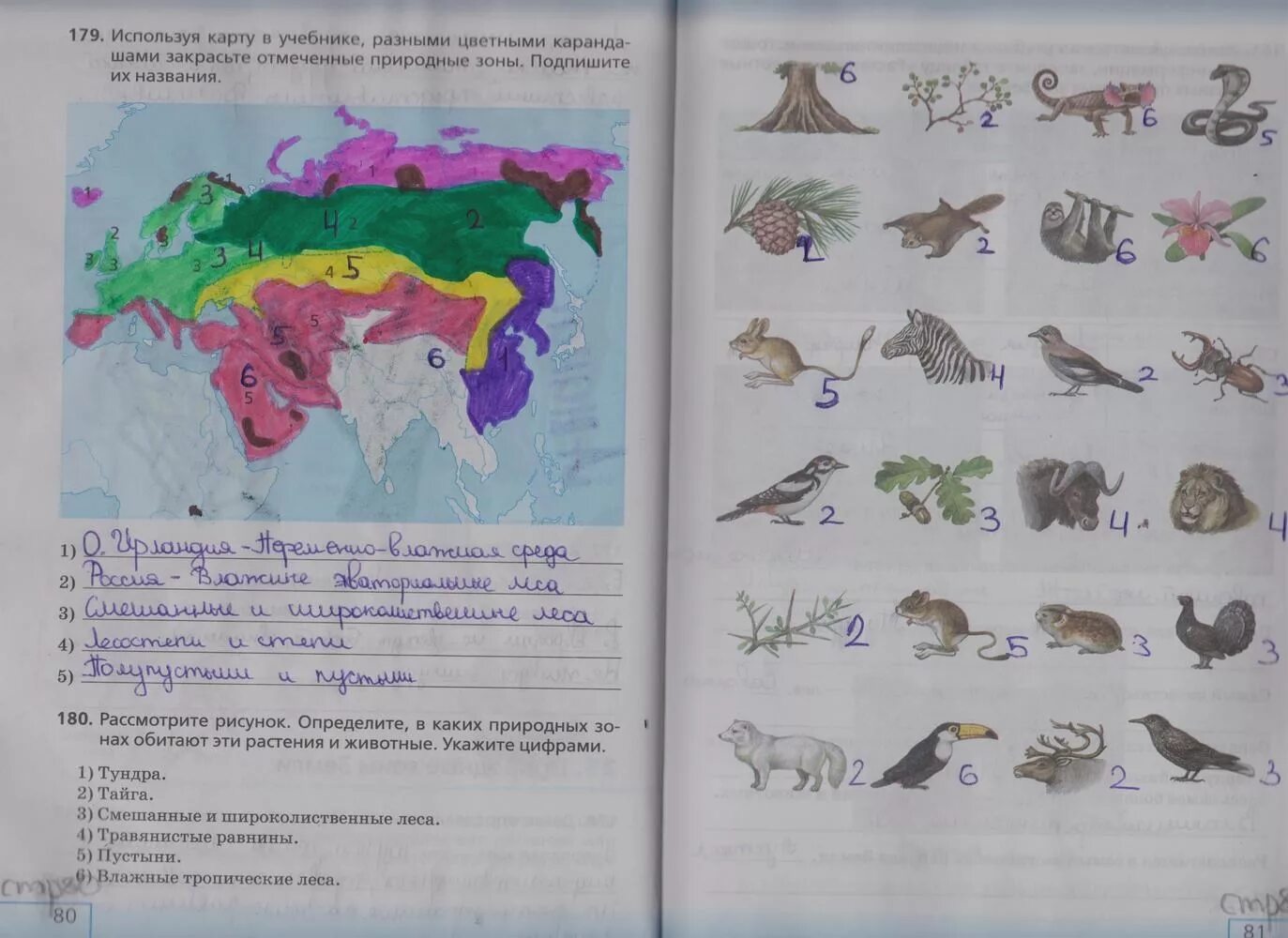Биология 5 класс параграф 25 природные зоны. Биология 5 класс рабочая тетрадь страница 80. Биология 5 класс рабочая тетрадь номер 179. Биология 5 кл рабочая тетрадь стр 81.