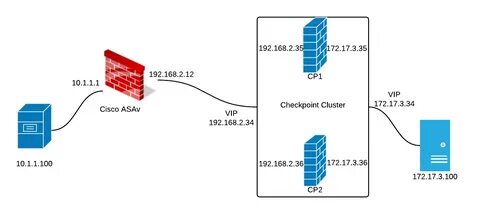 Check export