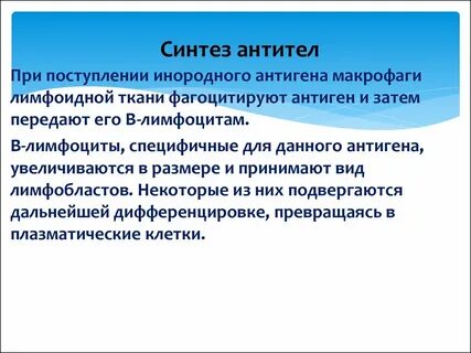 Механизм образование антитела