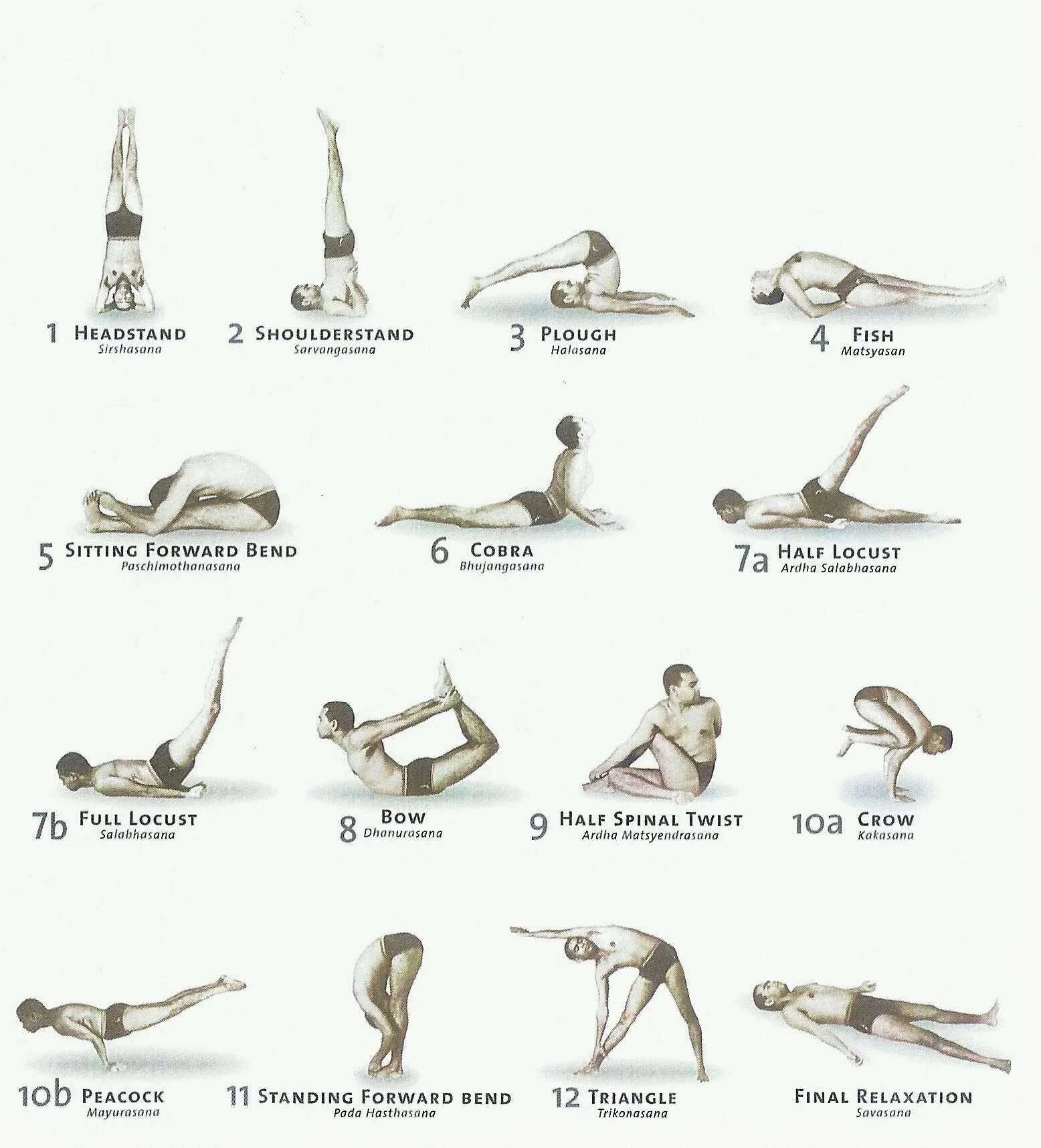 Шивананда йога комплекс для начинающих. Основные асаны хатха йоги для начинающих. Хатха йога комплекс для начинающих. Таблица асан в йоге с изображениями.