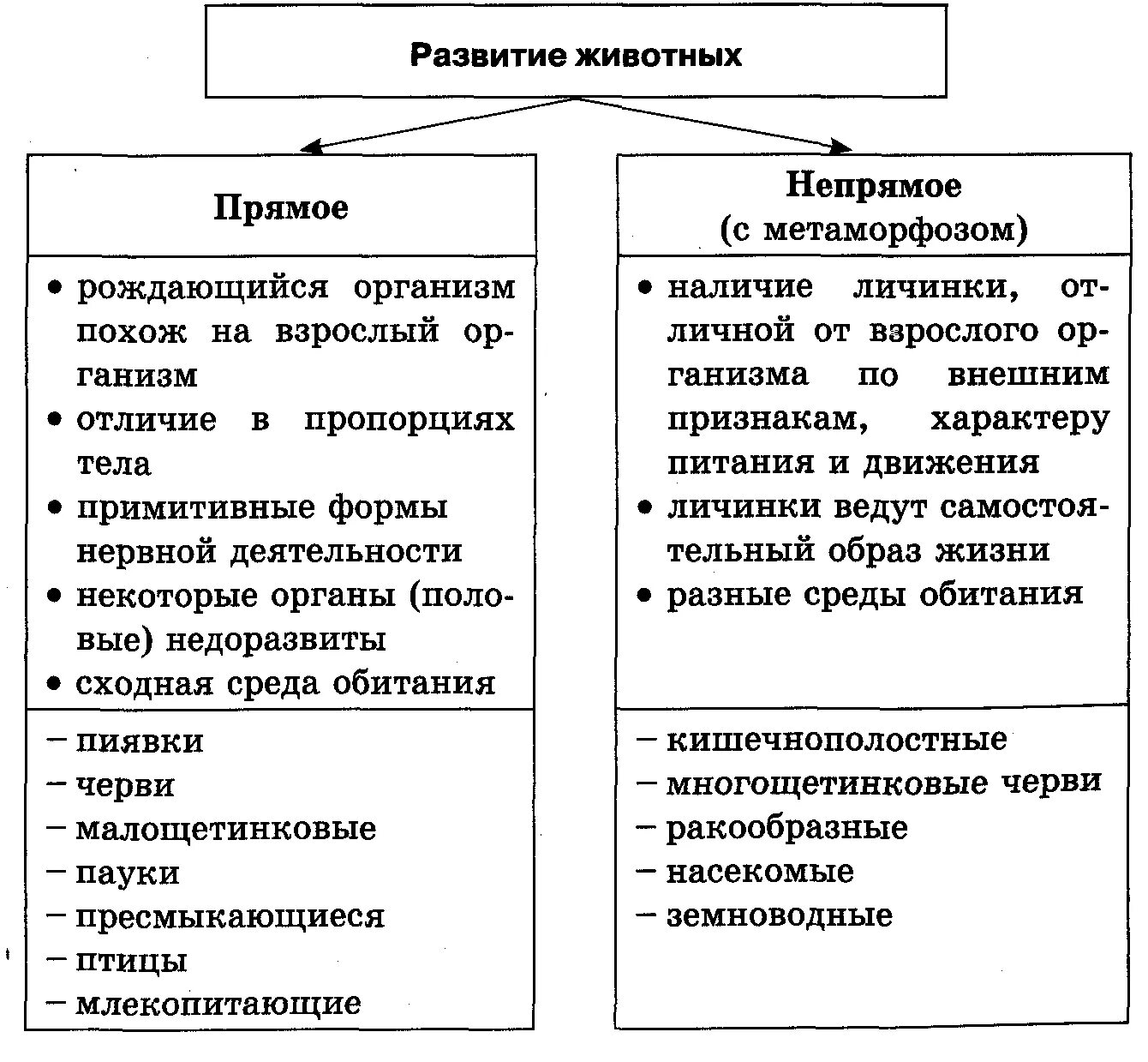 Характеристика прямого развития животных