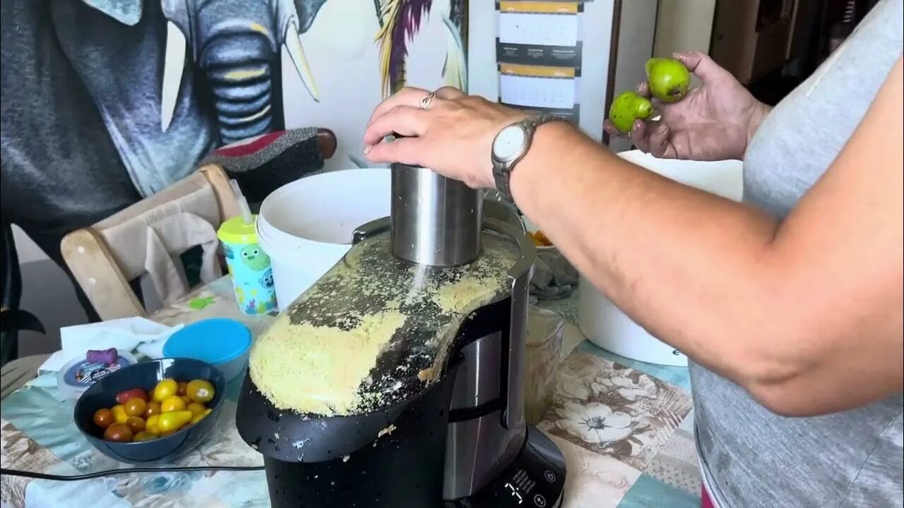 Муфта соковыжималки kitfort. Соковыжималки для заготовок. Промышленная центробежная соковыжималка. Соковыжималка грушевая. Соковыжималка большая для яблок.