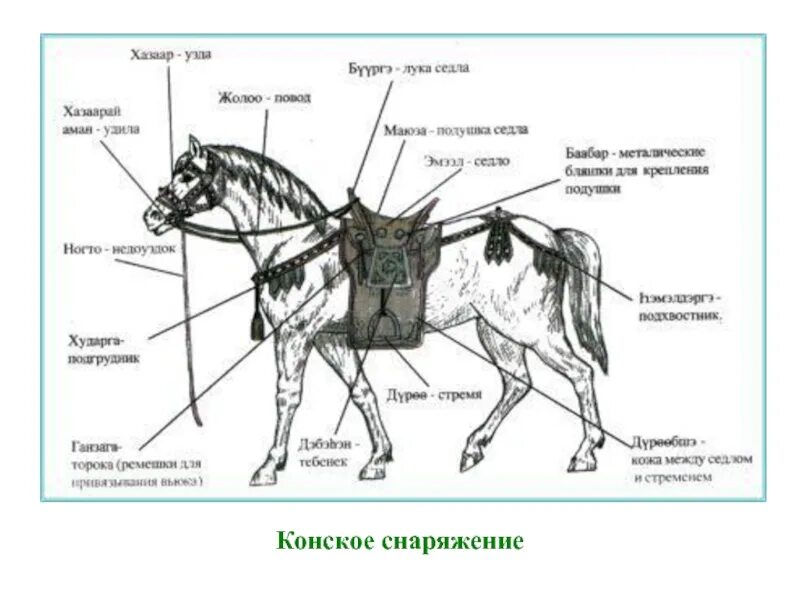 Сбруя лошади для верховой езды схема. Схема упряжи лошади для верховой езды. Строение конной амуниции. Конское седло схема. Изгиб седла 4