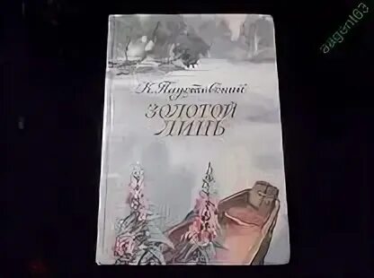 Г. Золотой линь паустовский. Золотой линь паустовский читательский. Паустовский золотой линь обложка книги. Золотой линь паустовский иллюстрации.
