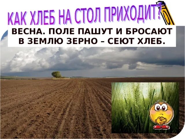 Посеянное зерно. Посеять зерно сомнения. Зерно в земле. Рождение хлеба окружающий мир 3 класс земля пшеница.