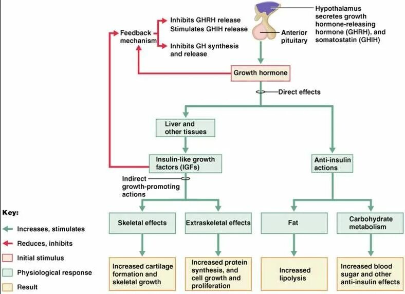 Physiological response