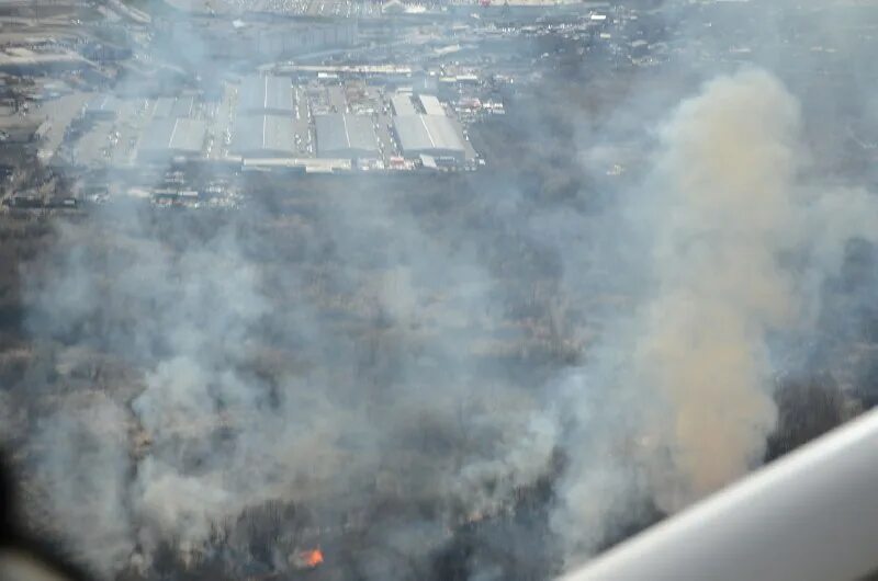 Карта распространения дыма от пожаров в якутии. Опасность мониторинга пожаров. Мониторинг пожарной опасности в лесах и лесных пожаров. Мониторинг лесов в российской федерации. Мониторинг пожарной опасности в лесах.