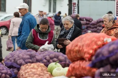 На рынке продает картошку