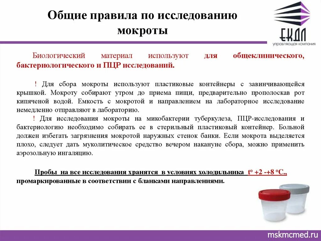 Мокроту для бактериологического исследования собирают в. Бактериологическое исследование мокроты норма. Емкость для сбора мокроты на бактериологическое исследование. Анализ мокроты на бактериологическое исследование.