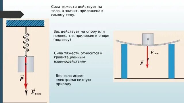 На рисунке силу тяжести действующую на. Вес тела и сила тяжести физика 7 класс. Сила тяжести вес тела Невесомость 7 класс. Вес тела Невесомость 7 кл. Сила. Сила тяжести. Вес тела..