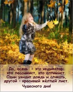 Поздней осенью бывает иногда совсем