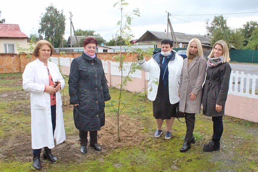 комарине фото. беларусь, комарин, новости. погода в комарине на 10. погода в комарине на 10. комарине.