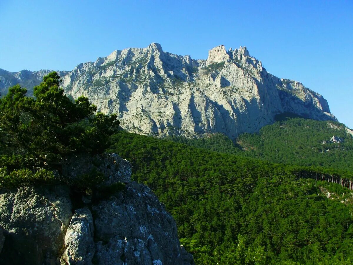 Города в горном крыму. Гора ай Петри. Вершина горы ай Петри. Гора Аль Петри в Крыму. Ялта гора ай-Петри.