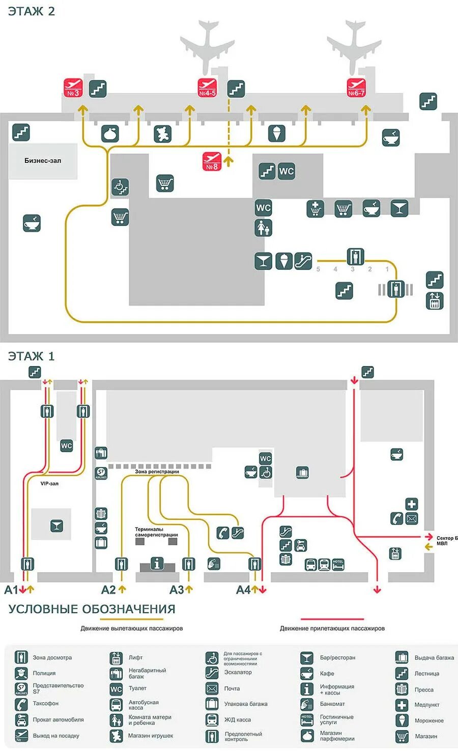 Аэропорт толмачева как добраться новосибирск. Аэропорт Новосибирск схема. Аэропорт Толмачево Новосибирск схема аэропорта. Аэропорт Новосибирск терминалы схема. Толмачева аэропорт Новосибирск терминал а схема аэропорта.