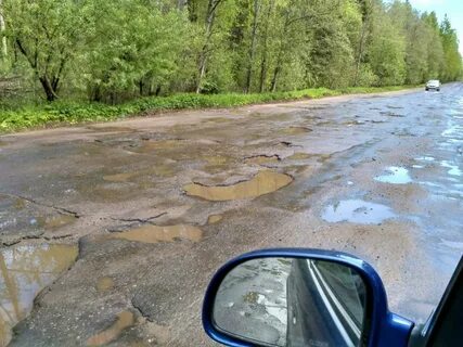 Дубна кимра