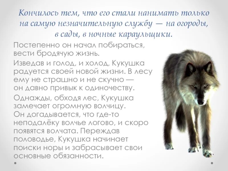 Бунин кукушка содержание. Кукушка бунин краткое содержание. кукушка бунин пересказ. кукушка рассказ бунина краткое содержание. краткий пересказ кукушка.