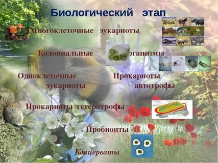 Биологический этап