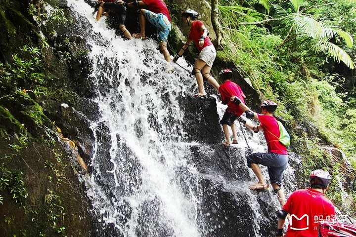 Чили янода. Тропический лес янода. Yan oda 1. Парк янода стеклянный мост. Yan oda 1.