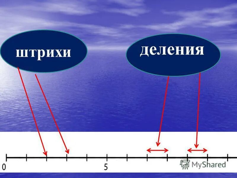Деление шкалы прибора это. Штрихи на линейке. Длина деления шкалы. Линейка с двумя шкалами. Что такое штрих шкалы.