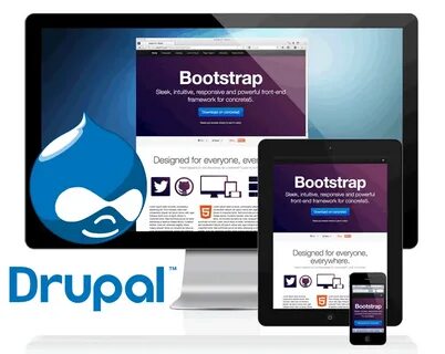 Bootstrap org