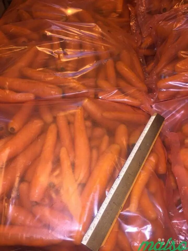 10 килограмм моркови