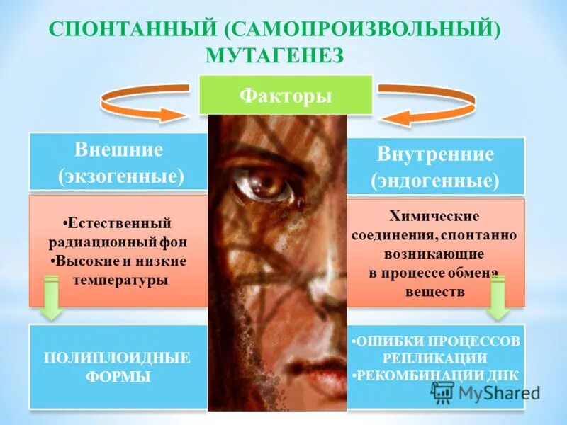 спонтанный и индуцированный мутагенез. индуцированные мутагенещ. индуцированные мутации. индуцированные мутации. спонтанный и индуцированный мутагенез.