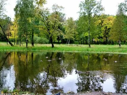 Куракина дача