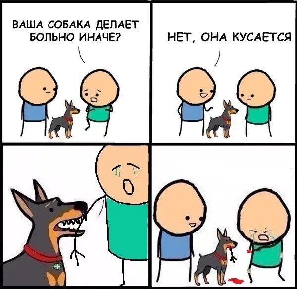 Комикс девушка и собака. Смешные комиксы. ваша собака не кусается мем. собака делает больно иначе. ваша собака кусается нет она делает больно иначе.