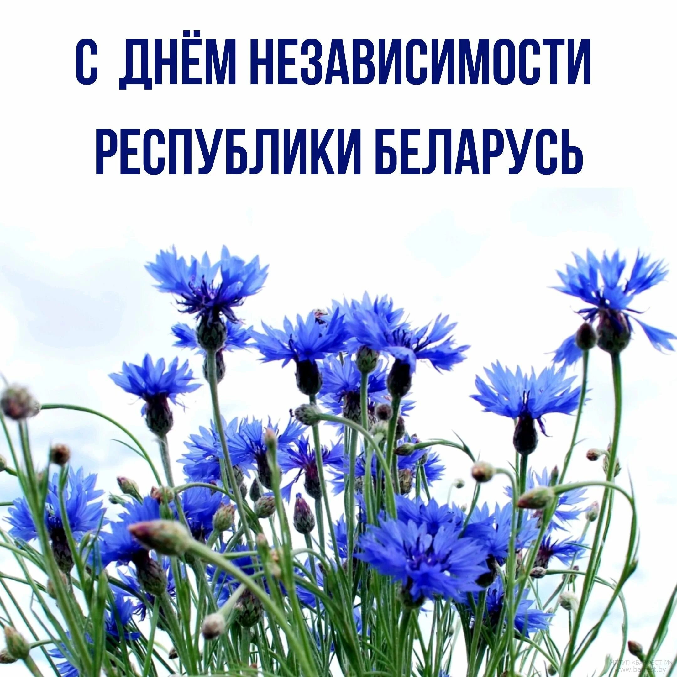 Свята беларускай мовы. Свята беларускай мовы. Свята беларускай мовы. 21 лютага дзень роднай мовы. 21 лютага міжнародны дзень роднай мовы.