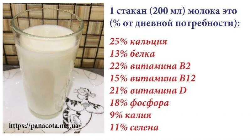 Сколько времени варится молоко. Сколько кипятится молоко. Кипяченое молоко калорийность. Молоко коровье домашнее калорийность. Как прокипятить молоко коровье.