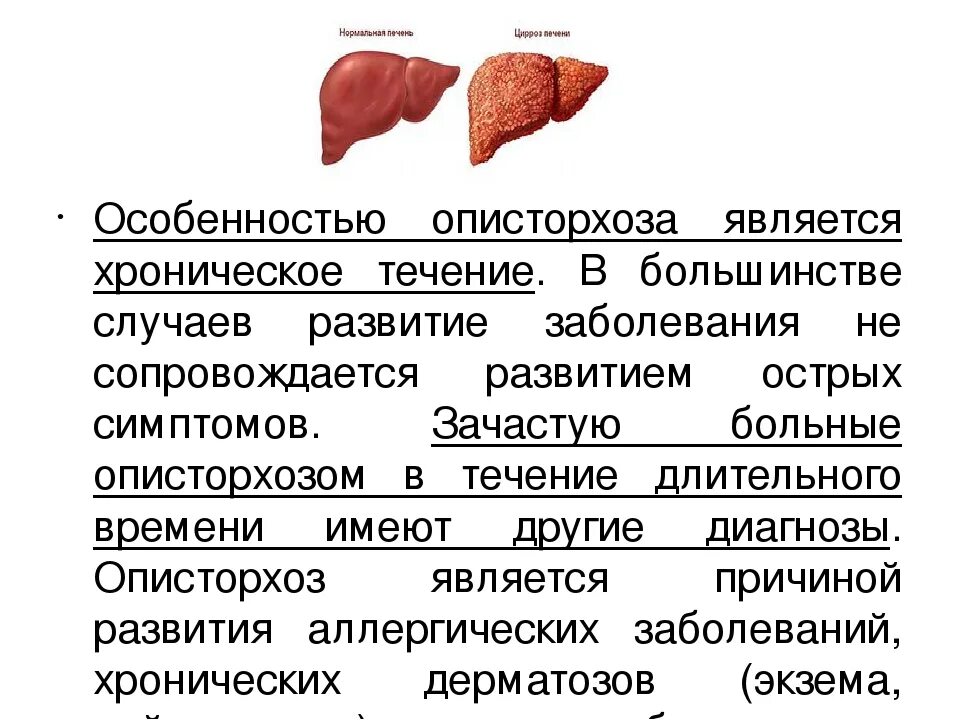 Клинические проявления описторхоза. Поражение печени описторхозом. Описторхоз характерные клинические проявления. Клинические формы хронического описторхоза. Какие есть болезни печени