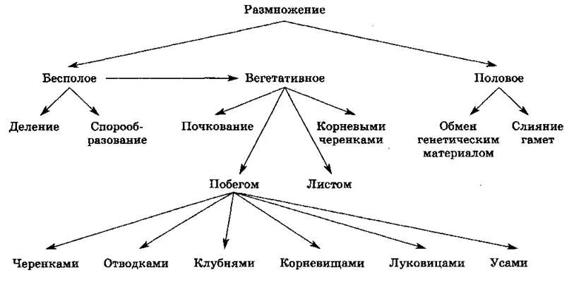 Презентация формы размножения животных 8 класс биология. Размножение организмов 6 класс биология таблица. Схему способов бесполого размножения организмов.. Формы и способы размножения растений схема. Схема бесполого размножения.