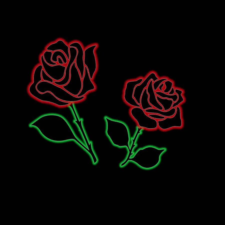 Glowing rose. Светящиеся розы в темноте. Светящиеся розы. Цветок в синем пламени. Неон роуз цветы.