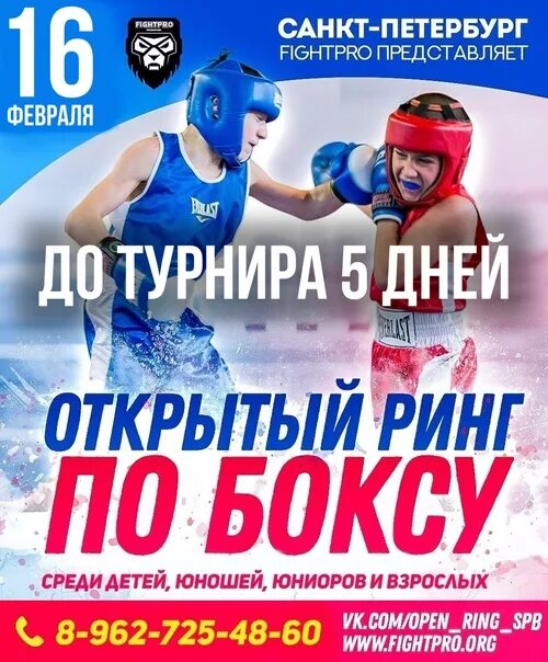 Открытый ринг. Открытый ринг по боксу. Открытый ринг бокс. Открытый ринг по боксу. Открытый ринг это.