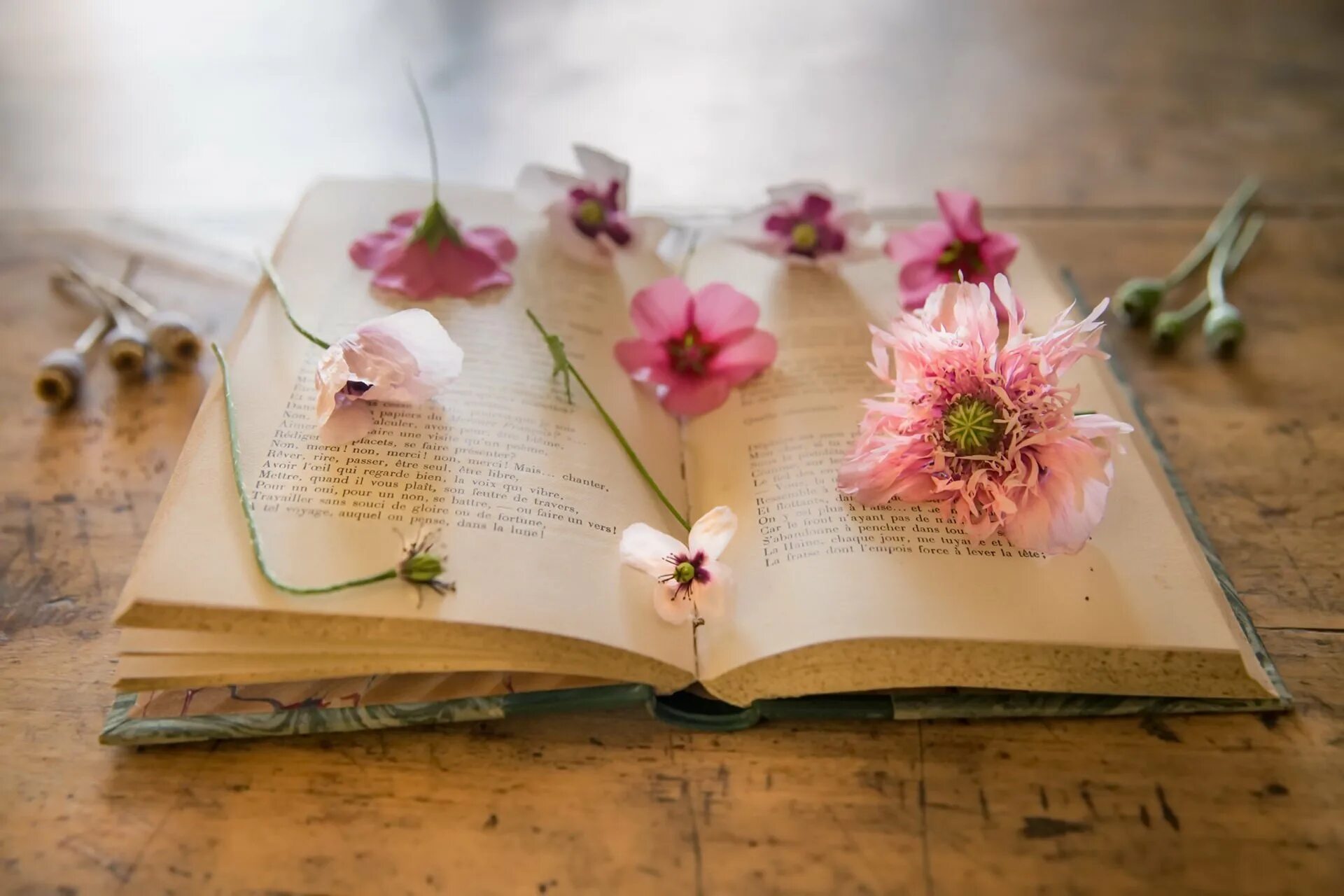 Книга с цветами. Красивые книги. Книга цветы. Красивые книжки.