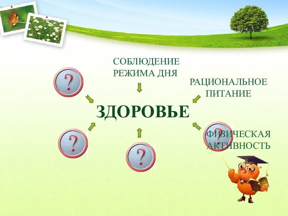 Слагаемые образа жизни. Презентация слагаемые здоровья 4 класс. 5 Слагаемых здоровья. Пять слагаемых здоровья в библиотеке. «Слагаемые здоровья»классный час 2 класс.