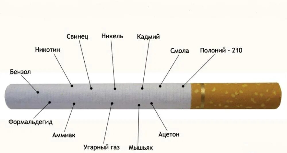 Как добавлять никотин. Химический состав сигарет. сигарета из чего состоит схема. состав никотина в сигаретах. сигареты состав вредных веществ.