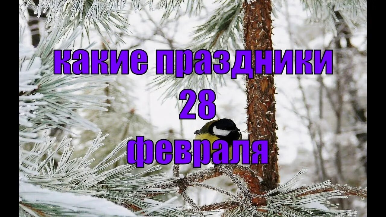 Какой сегодня праздник в россии 28 февраля. 28 Февраля народные приметы. 28 Февраля какой праздник. Праздники сегодня 28 февраля. 28 Февраля праздник ухода зимы.